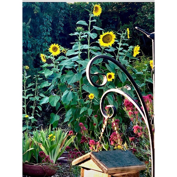 WHATEVER YOU ARE, BE A GOOD ONE - Picture 1 of 2